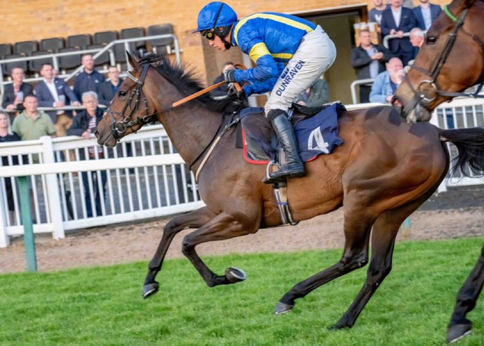 Fergal O'Brien Racing tweet media