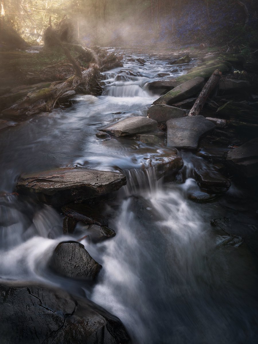 Wnyscenery tweet media