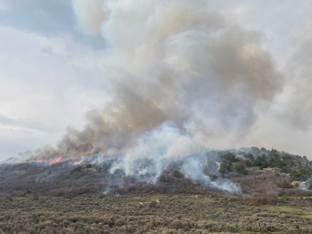 UtahWildfire's tweet photo. Prescribed fire operations continue on #OldWomanSouthRx. 900 acres was completed yesterday (5/9/23) using ground and air ignitions. #usfsFNF and #FFSL is working closely with @RMP_Utah to burn vegetation near the power line corridor. #LonePeakIHC #SawtoothIHC #FuelsProjects https://t.co/cAdN2Ttumt