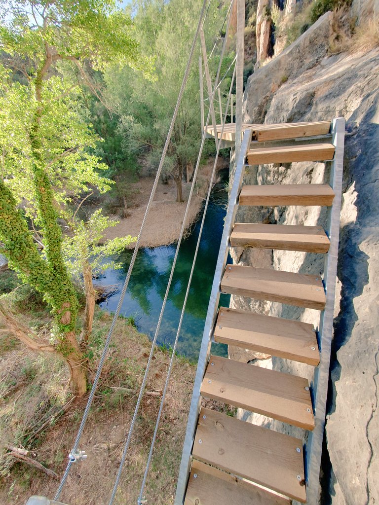 León 🦁 tweet media