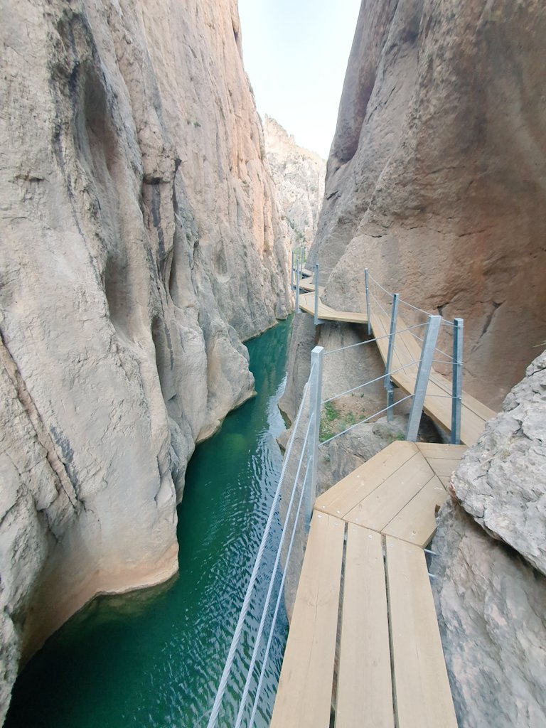 León 🦁 tweet media