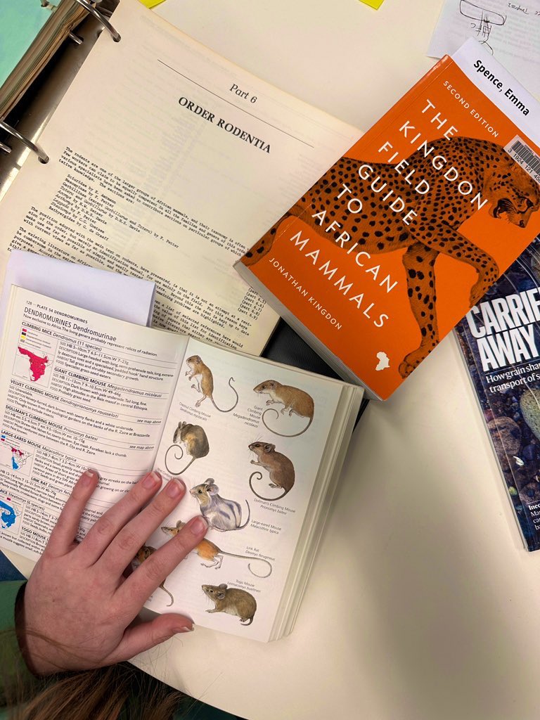 Emma Suzuki Spence tweet media