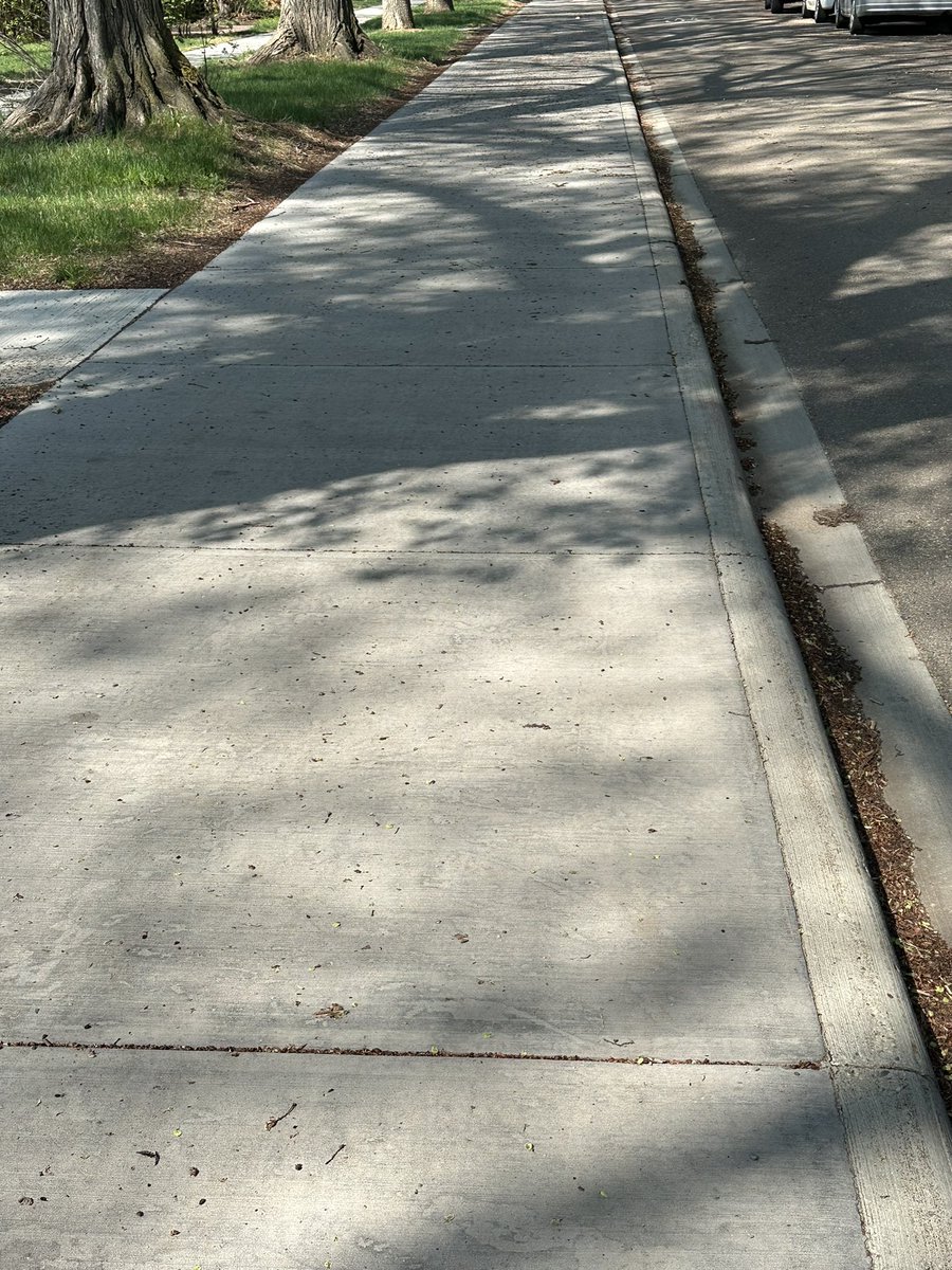 Long run mid week on the road. Giving the trails another day to dry after all the rain.