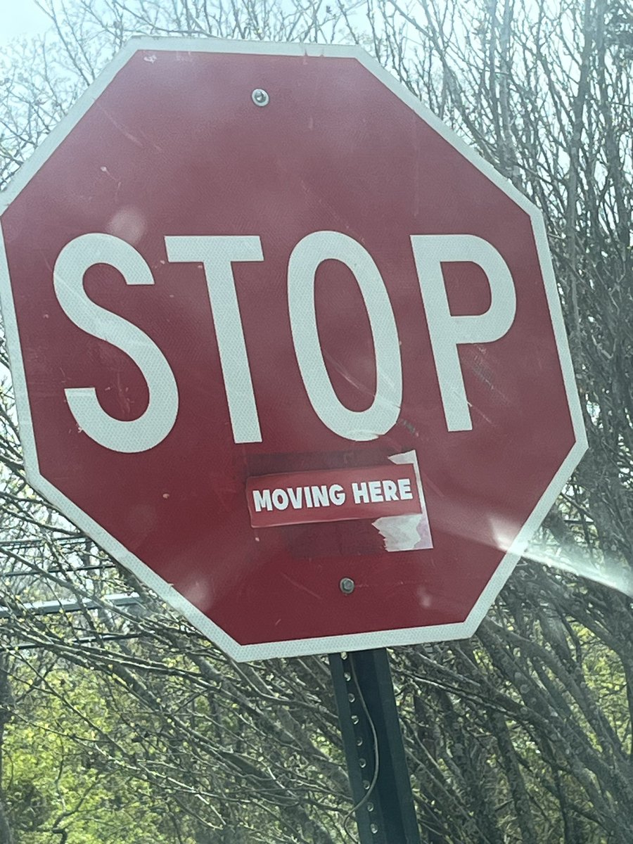 Spotted in Noyac: