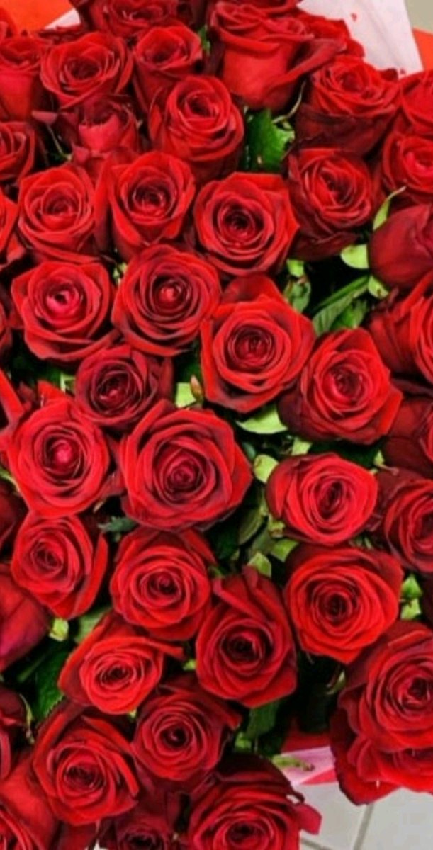 belle france (@bellefranc64954) on Twitter photo 