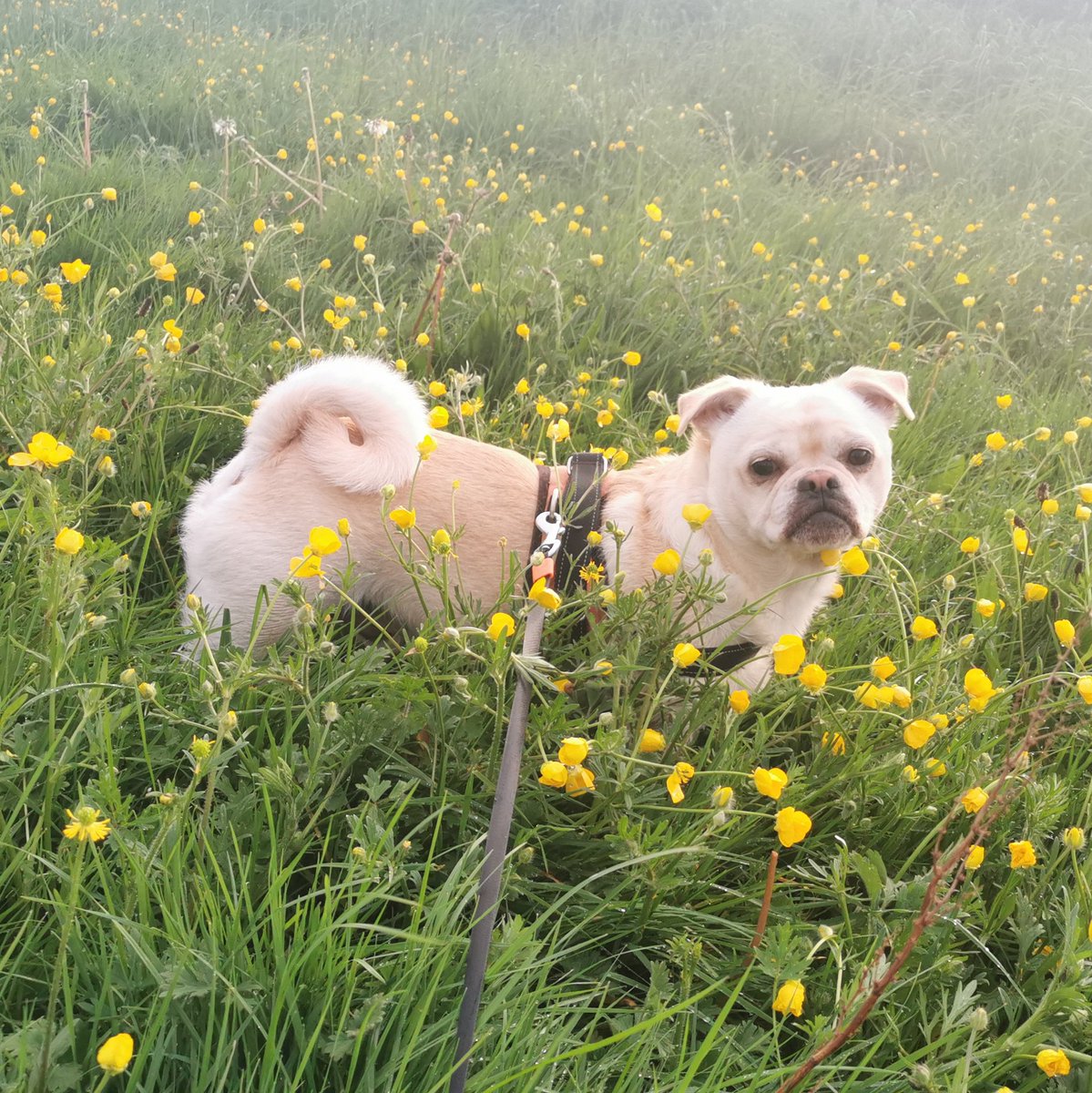 Lucy Ford tweet media