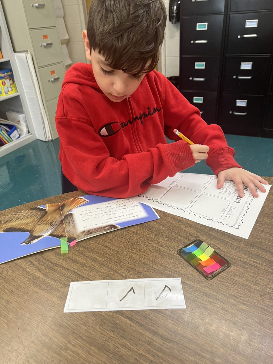 CShahinNB's tweet photo. We finished reading our Non-Fiction book about how Hawks hunt and used our graphic organizers to write facts we learned! ✏️📓 @Saw_Mill_Strong @NBUFSDPride https://t.co/EQSyzL5852