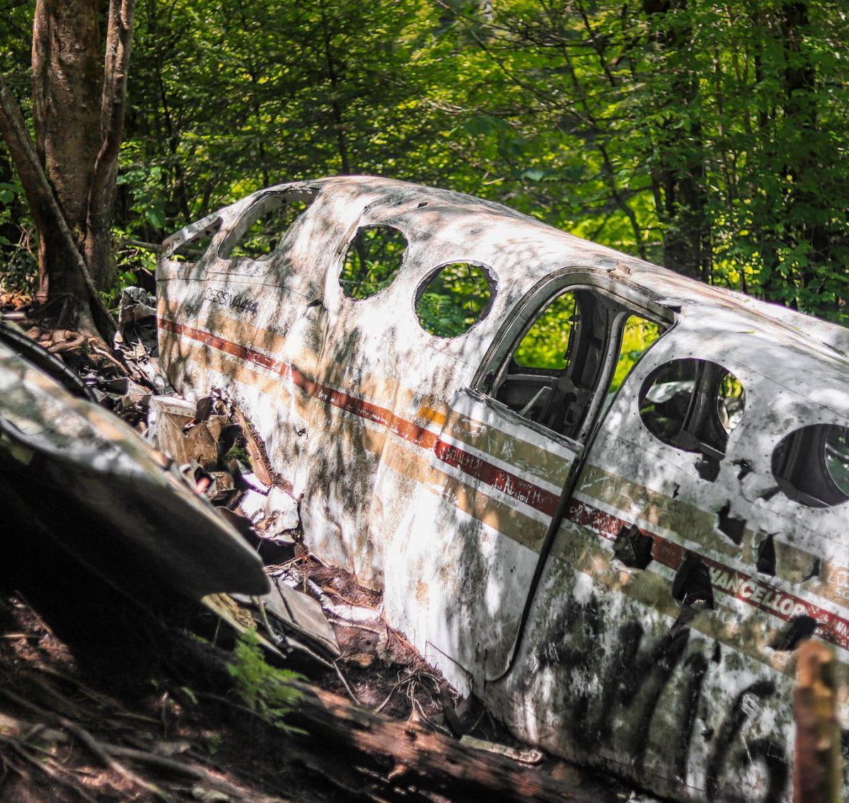 Lilith2435's tweet photo. This time the protagonist is it!
That was me, made of shattered pieces, heartache, and distant memories.π©
Don't open the door without walking through it. πͺ
#828isgreat #explorecarolina #ashevilletrails #discover_carolinas #roamnc #romanticasheville #nc100miles https://t.co/m9dWXrePoC