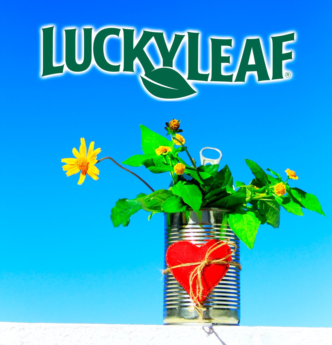 luckyleaf's tweet image. Looking for a creative way to surprise your mom this Mother's Day? Why not turn an empty Lucky Leaf Fruit Filling can into a beautiful planter!