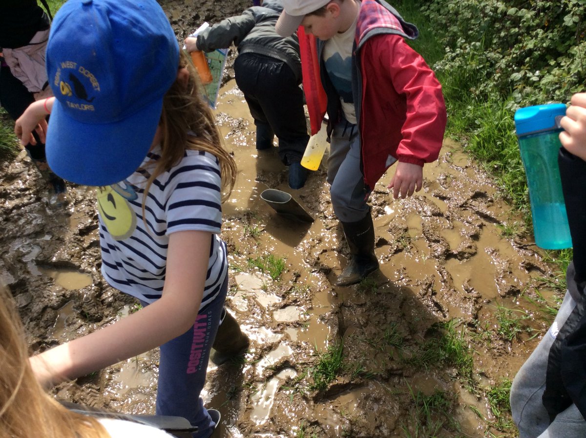 bps_Y5's tweet photo. A very muddy orienteering challenge! A few pairs of socks were lost to the mud 🙈 https://t.co/gkNvhtzXC5