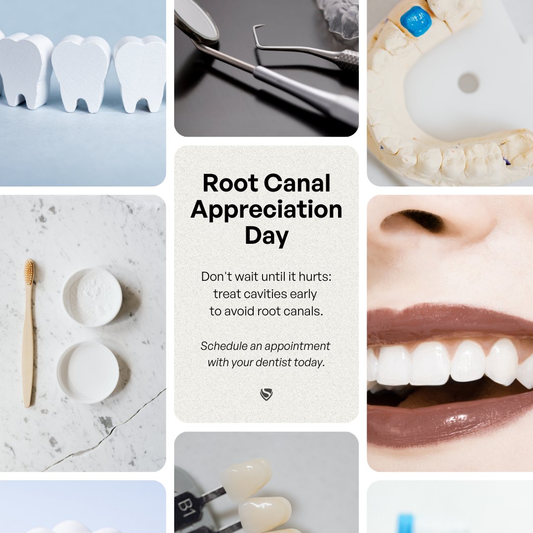 On Root Canal Appreciation Day, let's take a moment to thank the #dental professionals who help us keep our natural teeth for as long as possible. 😁

❌ Don't wait until it's too late — find your ideal #dentist here: straine.com/dso/

#dentalcare #dentistry #dentalDSO