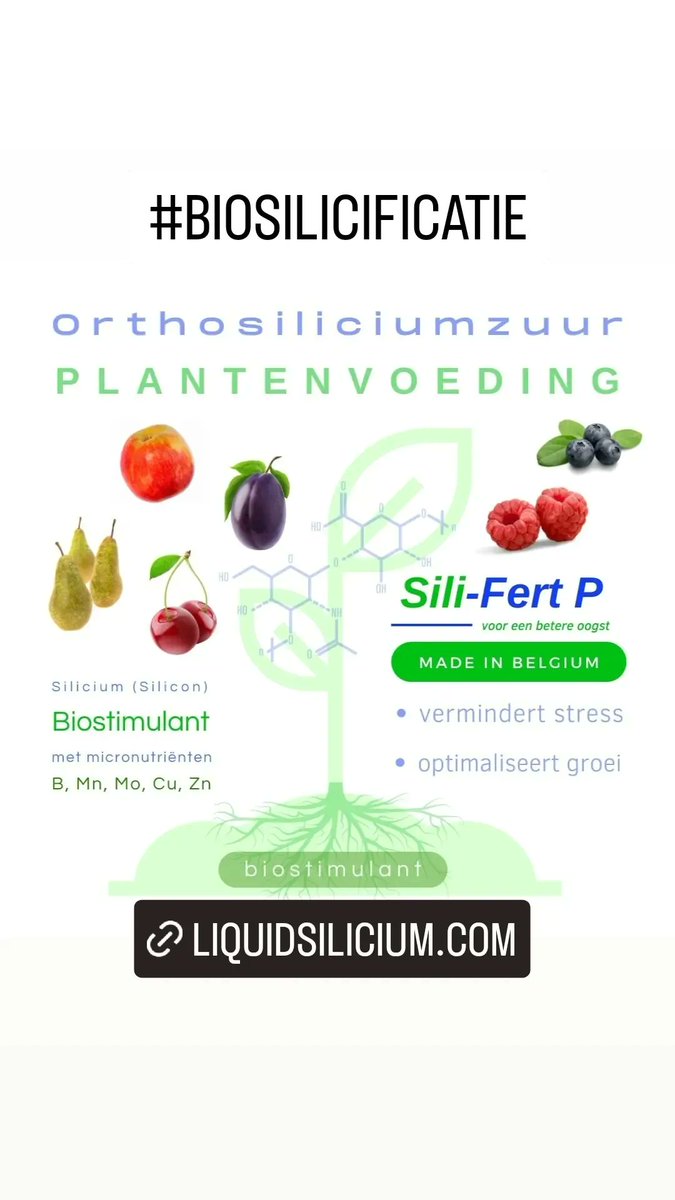 SeveriTechnolo2's tweet photo. #Silicium #plantenvoeding o.b.v. #orthosiliciumzuur🧪 met #micronutriënten
➡️ geschikt voor alle gewassen🌾, fruit🍎, bomen🌳, bloemen🌹...
➡️ #biostimulant voor planten 🌱
✔️ verdunning 1/1000 🧪
#orthosiliciumzuur
#silifert
#severitechnologies https://t.co/mdZ5qllFSG