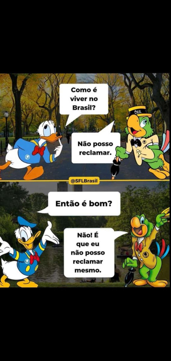 BolsonaroSP's tweet image. 