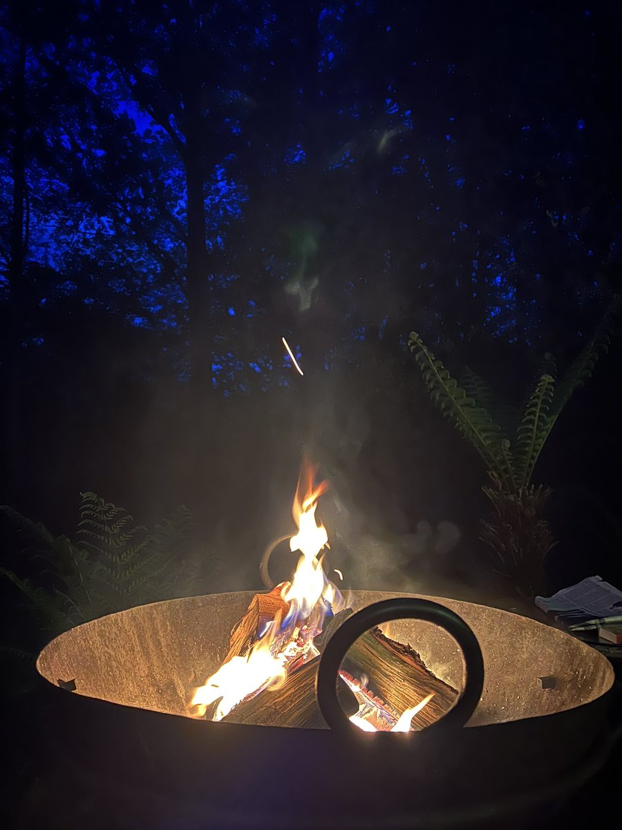 Laurenkimripley on Twitter "Cabin time 🔥"