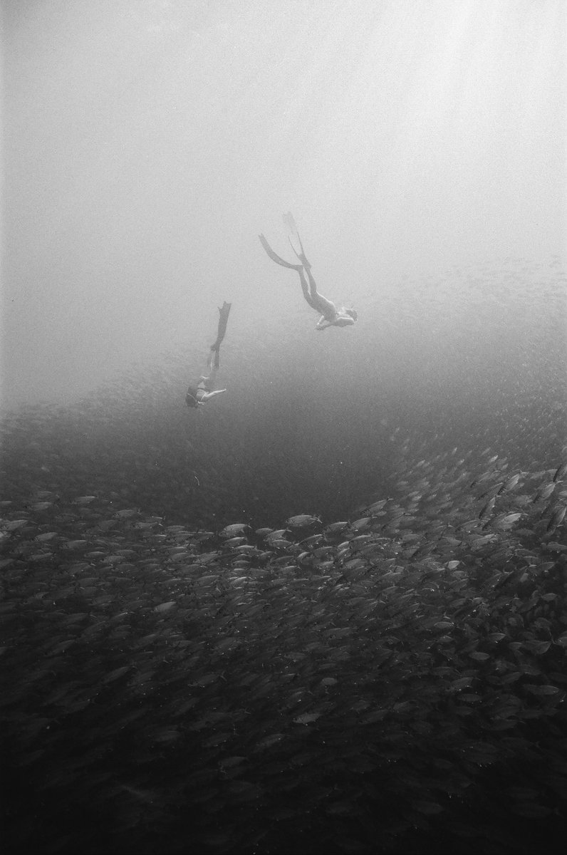 Katharine Kollman tweet media