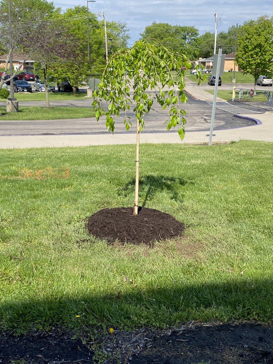 Jaime Lierly tweet media