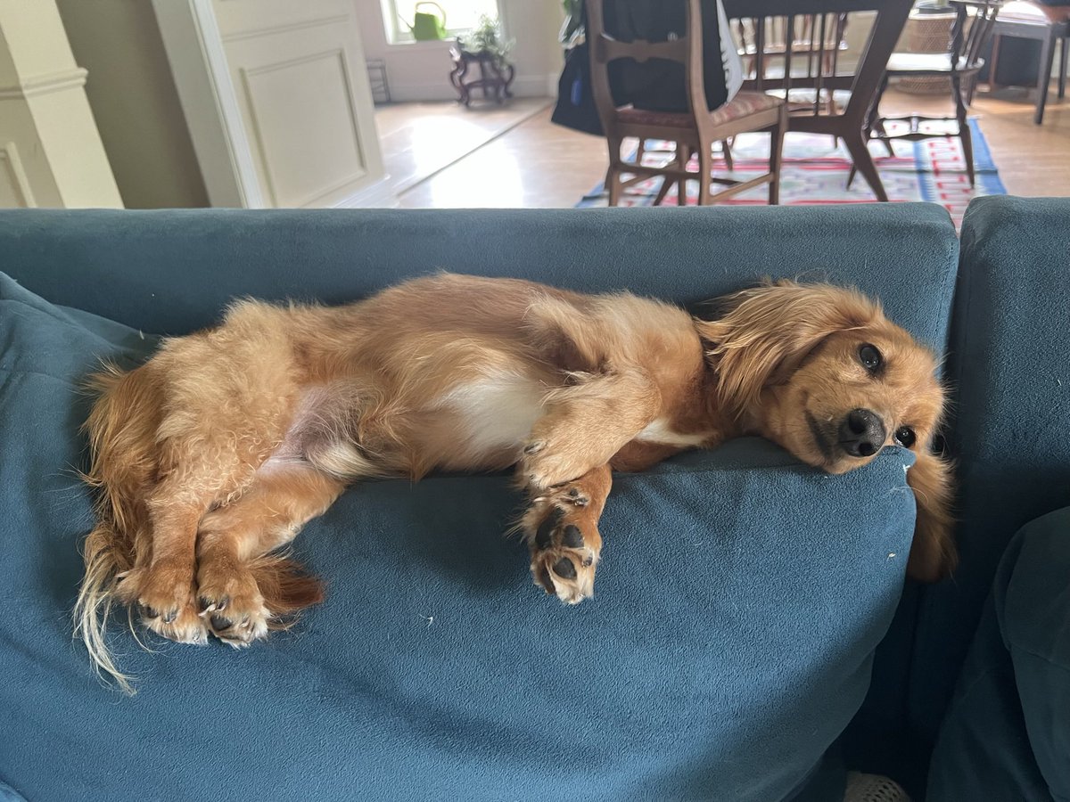 Can you believe this thing lives in my house