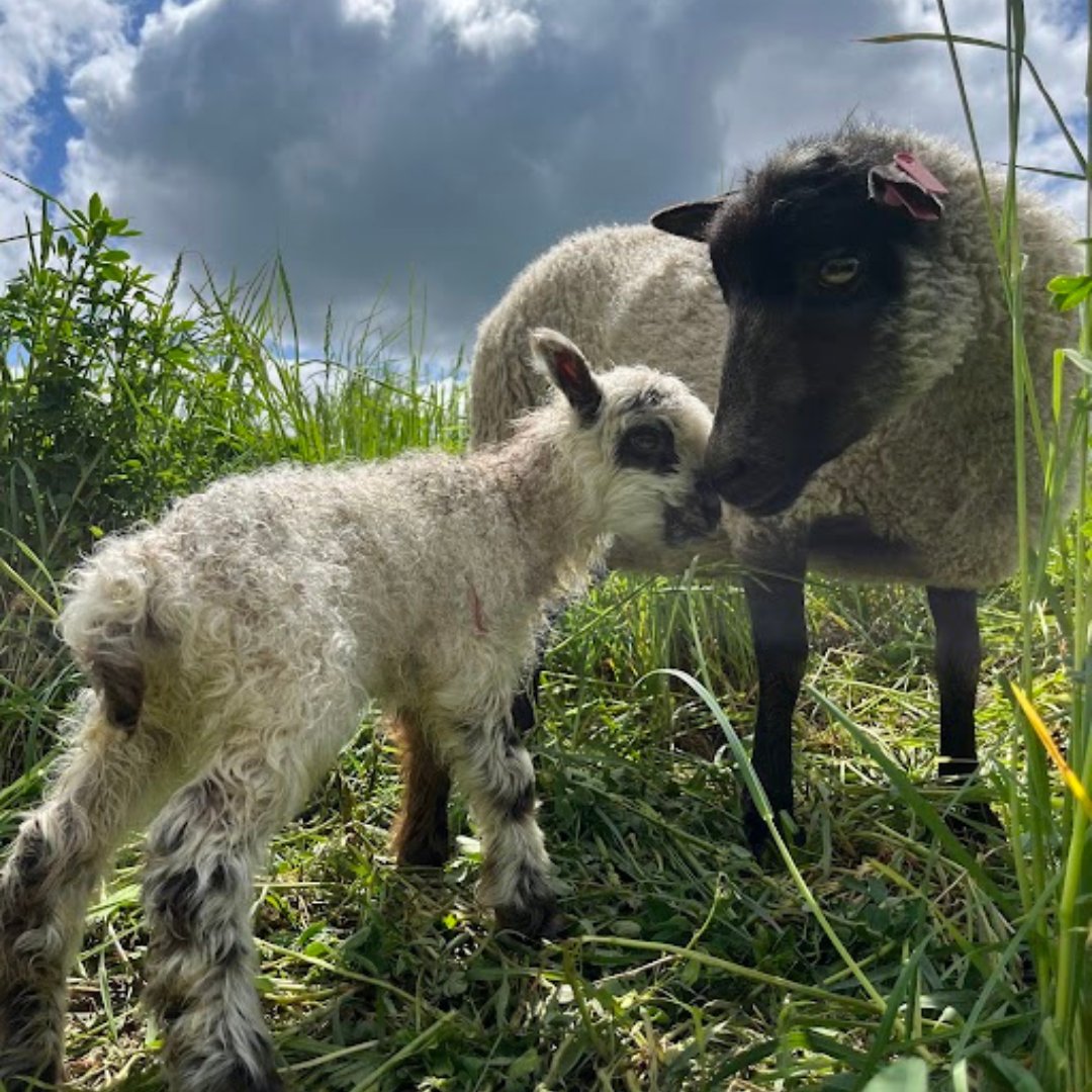 Pasa Sustainable Agriculture tweet media