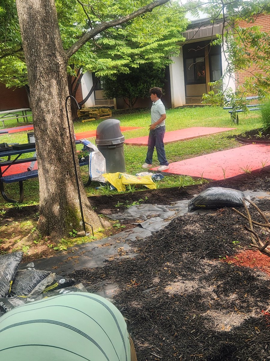 Tracy McKinnes-Carter, EdD tweet media