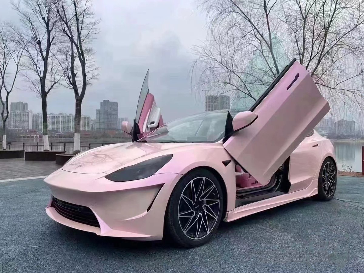 teslamore_shop's tweet image. Pink, Just Pink! And I Love This Pink! #carmodification #teslamodification #ModelX