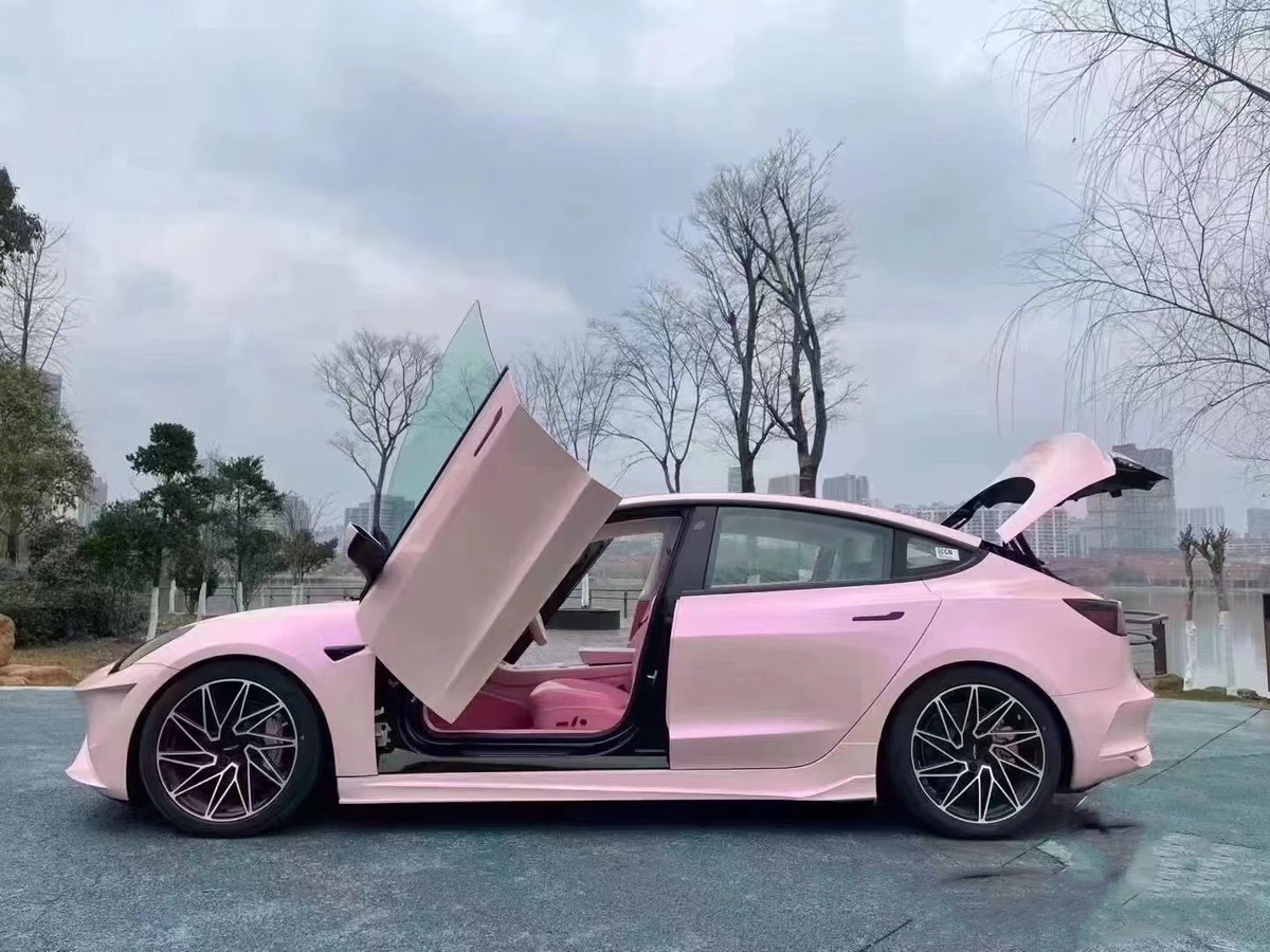 teslamore_shop's tweet image. Pink, Just Pink! And I Love This Pink! #carmodification #teslamodification #ModelX