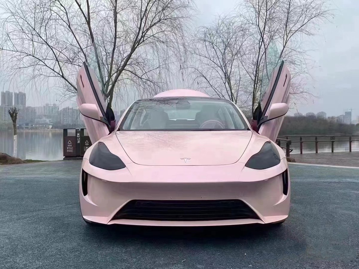 teslamore_shop's tweet image. Pink, Just Pink! And I Love This Pink! #carmodification #teslamodification #ModelX