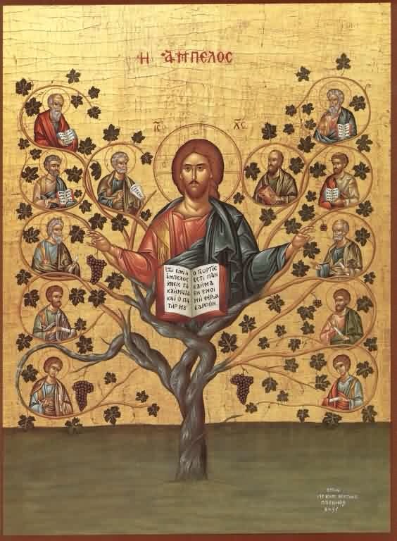 Remain
On the True Vine
With love, He prunes and tends
Bear fruit and glorify His name
Remain

(Inspired by today’s Gospel reading John 15:1-8)
#Catholic #Scripture #TrueVine