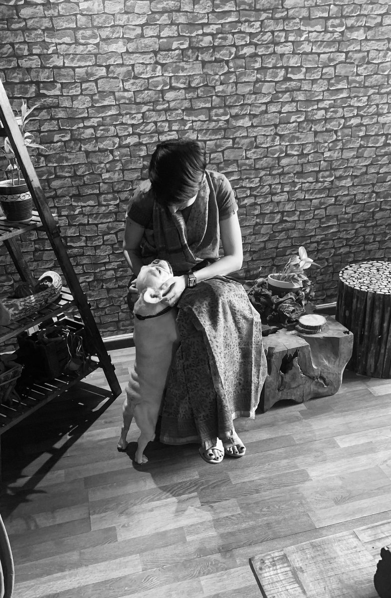 ReviewMirror tweet media