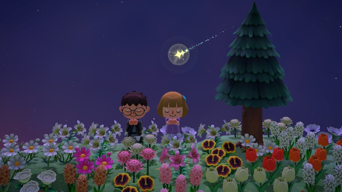 MeggiluHouse's tweet photo. #AnimalCrossing #ACNH #NintendoSwitch https://t.co/aYD7DEM0PD