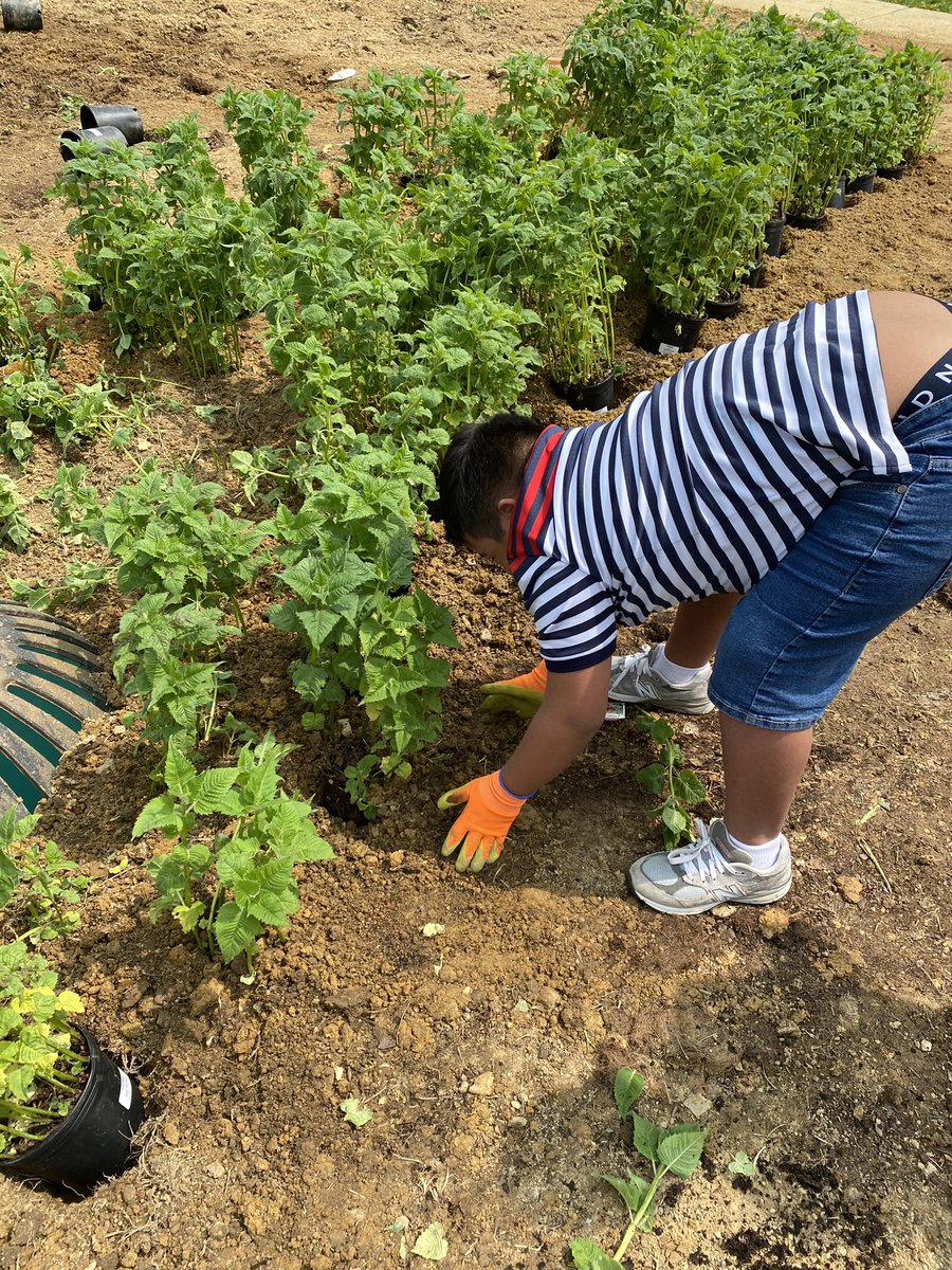 Kenzie Bergh tweet media