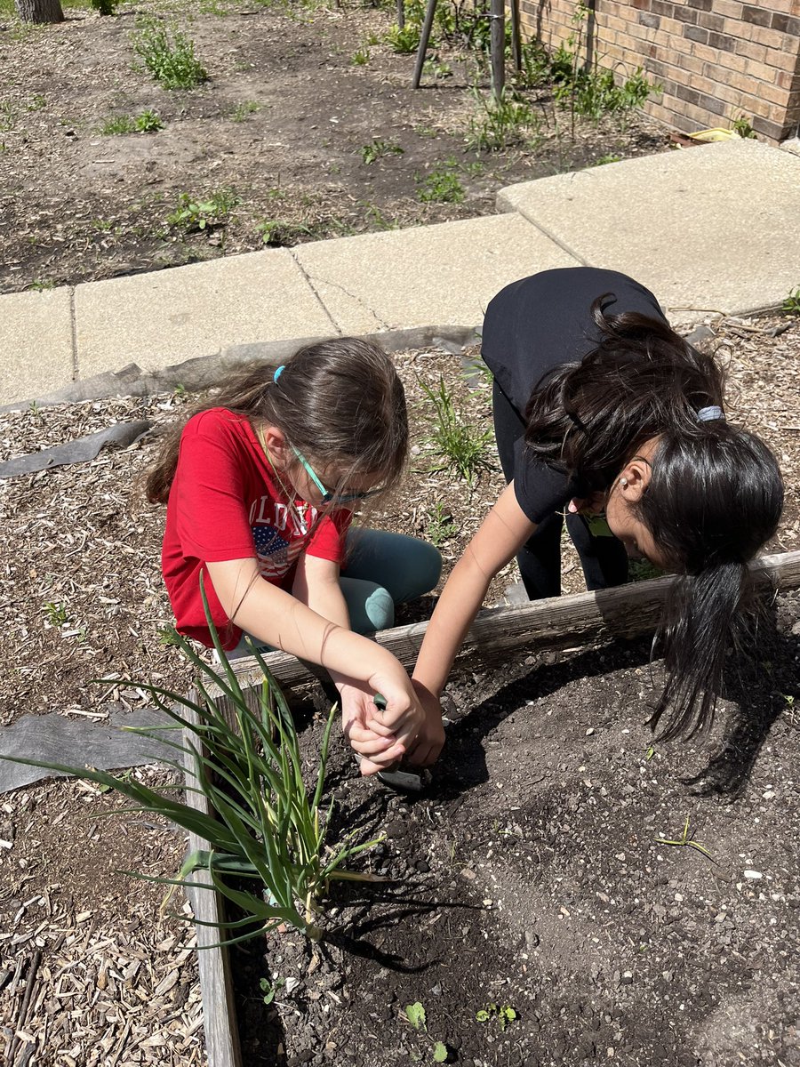 We had so much fun with our third grade friends getting our Apollo garden ready for planting! <a href="/apolloD63/">Apollo School</a>