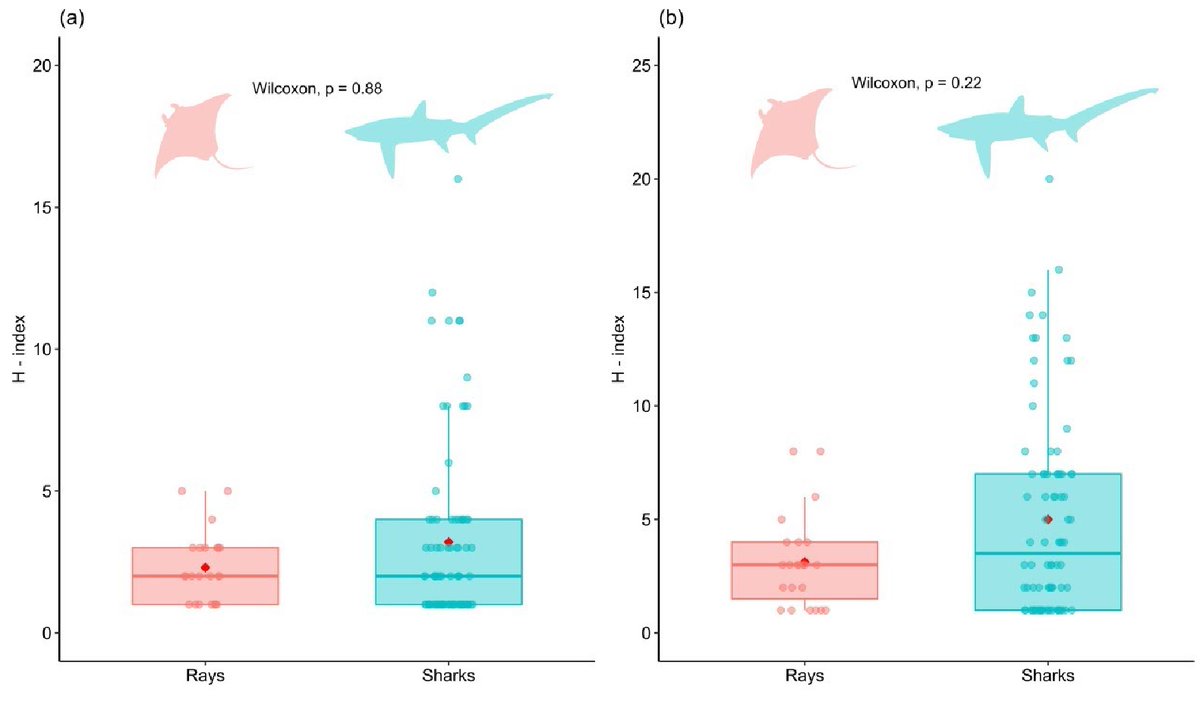FishBaseProject's tweet photo. #NewPaper: 🐟🐡🇪🇨 A bibliometric analysis of #elasmobranch research in #Ecuador. Congratulations to the authors! Research collaboration by Jesús Briones-Mendoza @sharkbriomen.

🔗 https://t.co/8N3ehNQoWP @ElsevierConnect https://t.co/kz4tbXmaao