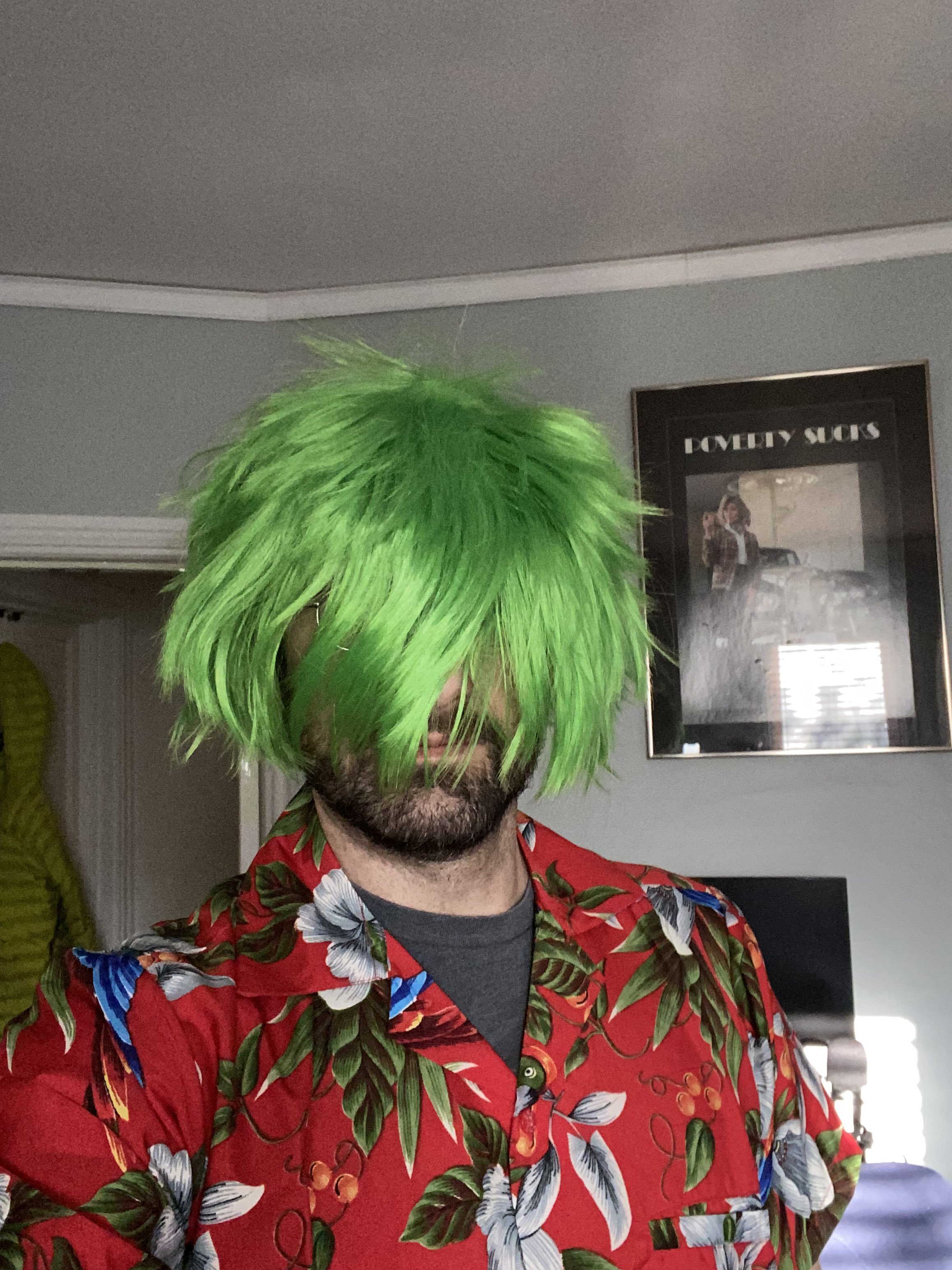Cosplay wig too big top