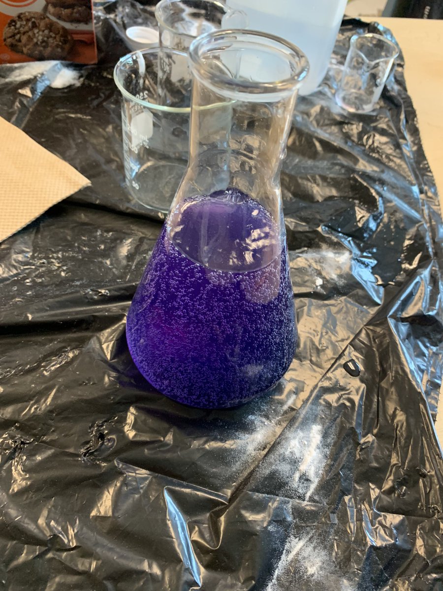 corkinmi's tweet image. L @HolyRosaryM @mrs_jmedeiros exploring the different colour changing reactions of red cabbage water. #inquiryproject