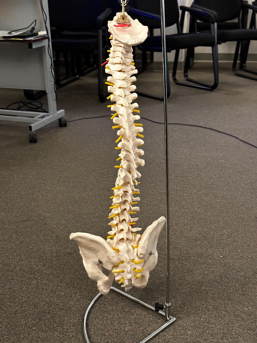 GenesisProgram's tweet image. Special guest today at Genesis Programs, Dr Grayson, came out to teach our staff about better posture and tricks to staying aligned. Well presented and answered all our questions, and we can&apos;t Thank you enough for all the great tips!!! 
venturachiro.com
