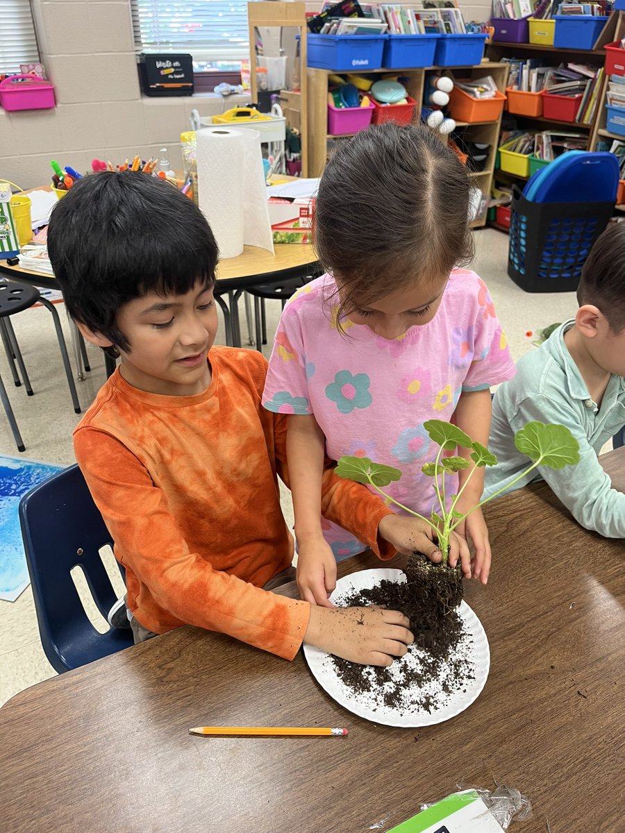 Gabriela Esquivel tweet media