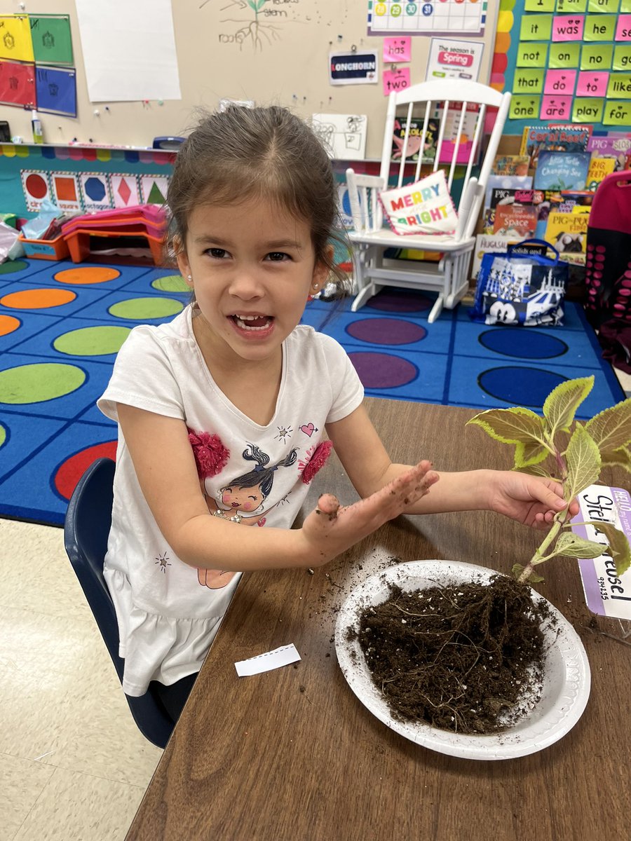 Gabriela Esquivel tweet media