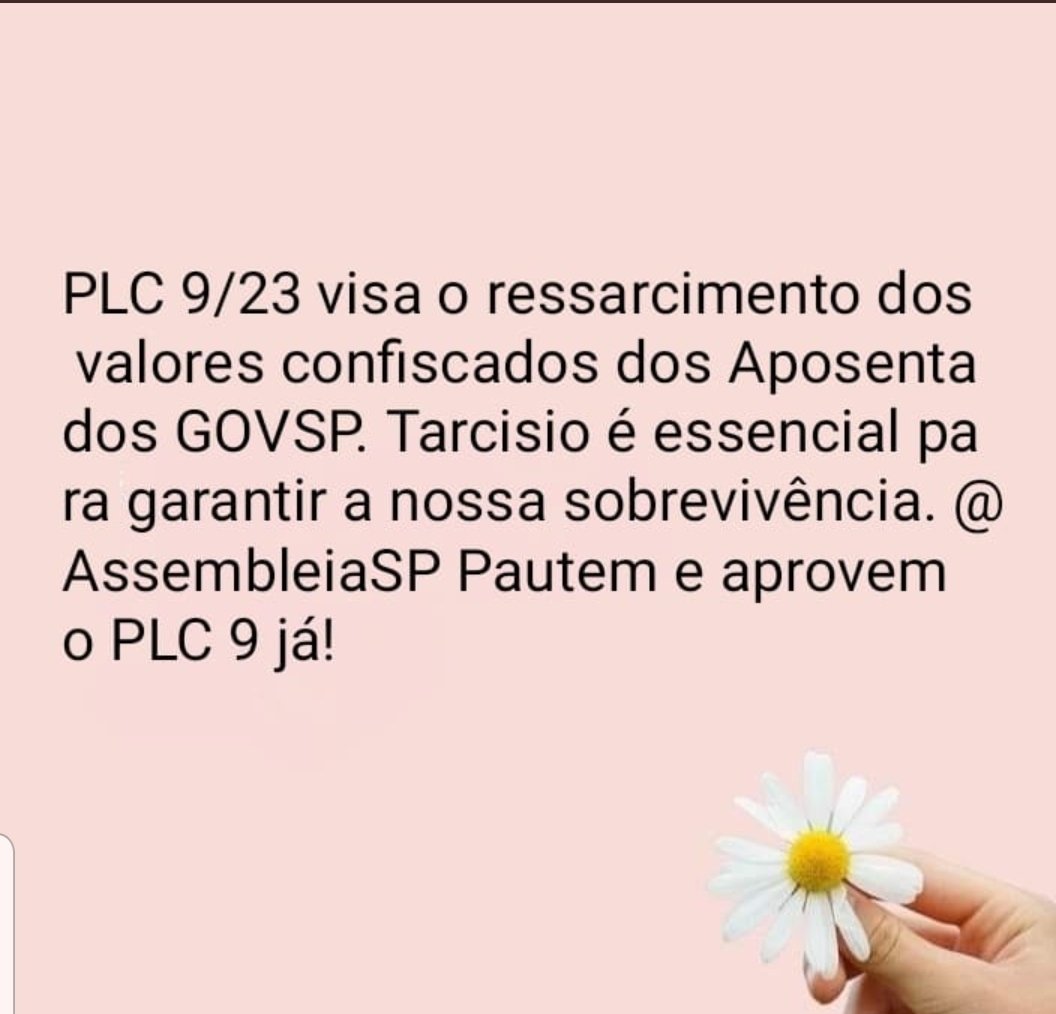 Viviane Galafassi tweet media