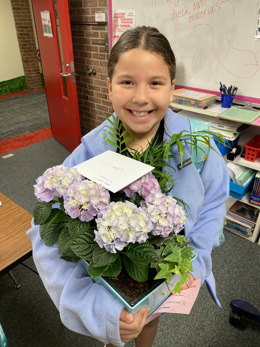 MSchmidt2019's tweet photo. Huge thanks to these cuties for all the flowers today! What a special surprise for Teacher Appreciation Week!💐🩷 @hillerwildcats #wearelamphere https://t.co/2PswXWlmoS