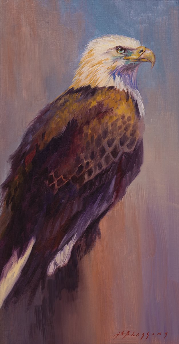 mommakim___'s tweet photo. @boldbrush ‘Shining Through’ 20x10 oil on linen. Bald eagles are everywhere up here in Alaska. Seeing them soaring over the rivers or watching intently from the treetops is an inspiring reminder that there are heights we have yet to explore. https://t.co/DzOyBuyjSf