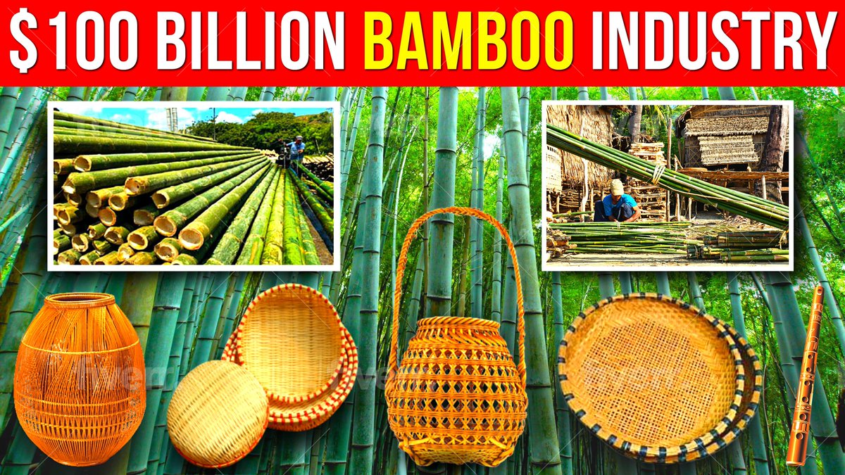 Another Video Uploaded Today! Please Like & Subscribe!
 
Bamboo Harvesting and Manufacturing in a $100 Billion Industry | Agricultural Technology

THE VIDEO LINK IS LOCATED BELOW:  
youtube.com/watch?v=c0_sHs…

#BambooIndustry #AgriculturalTechnology #SustainableFarming