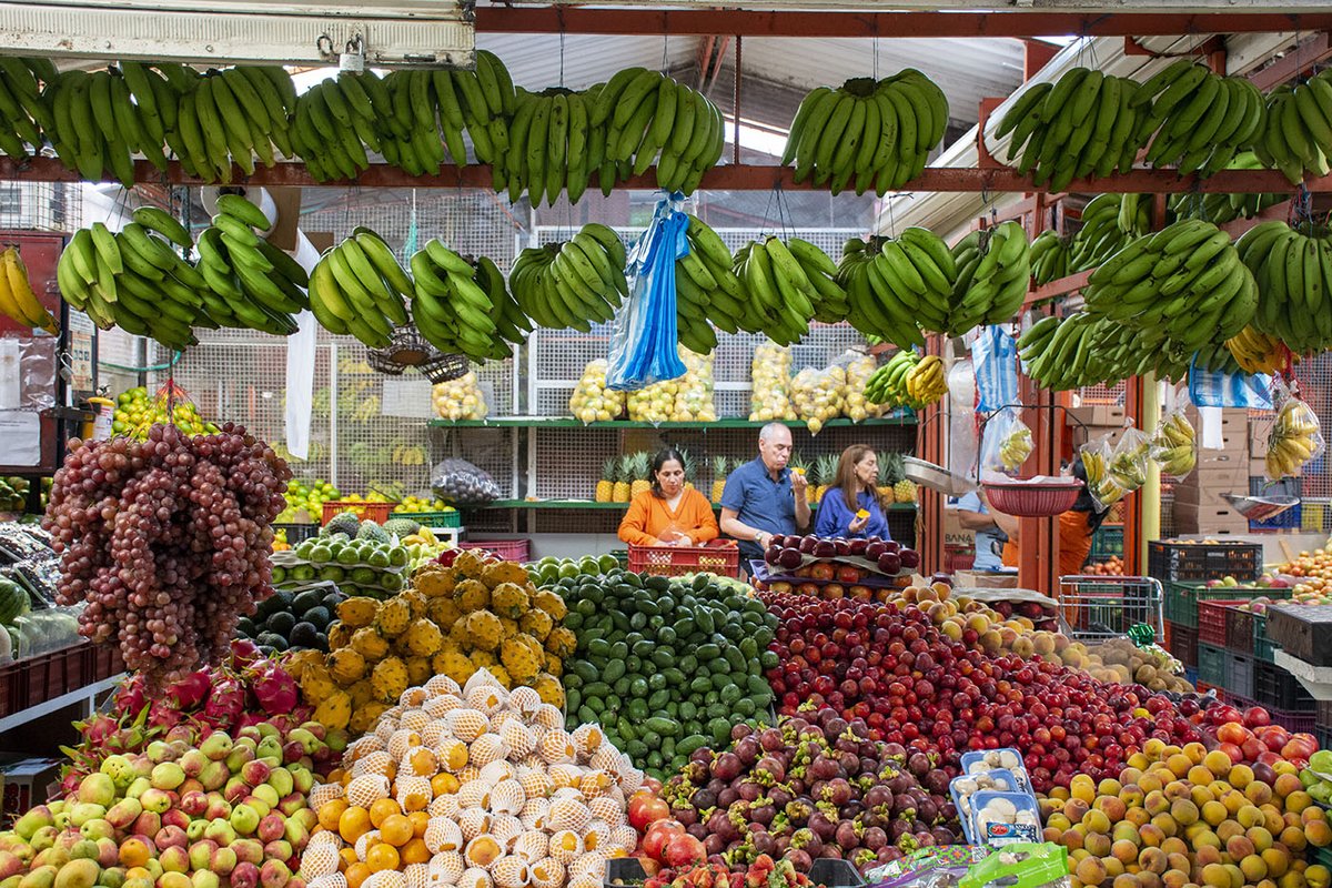 Prensa UNAL - Universidad Nacional de Colombia tweet media