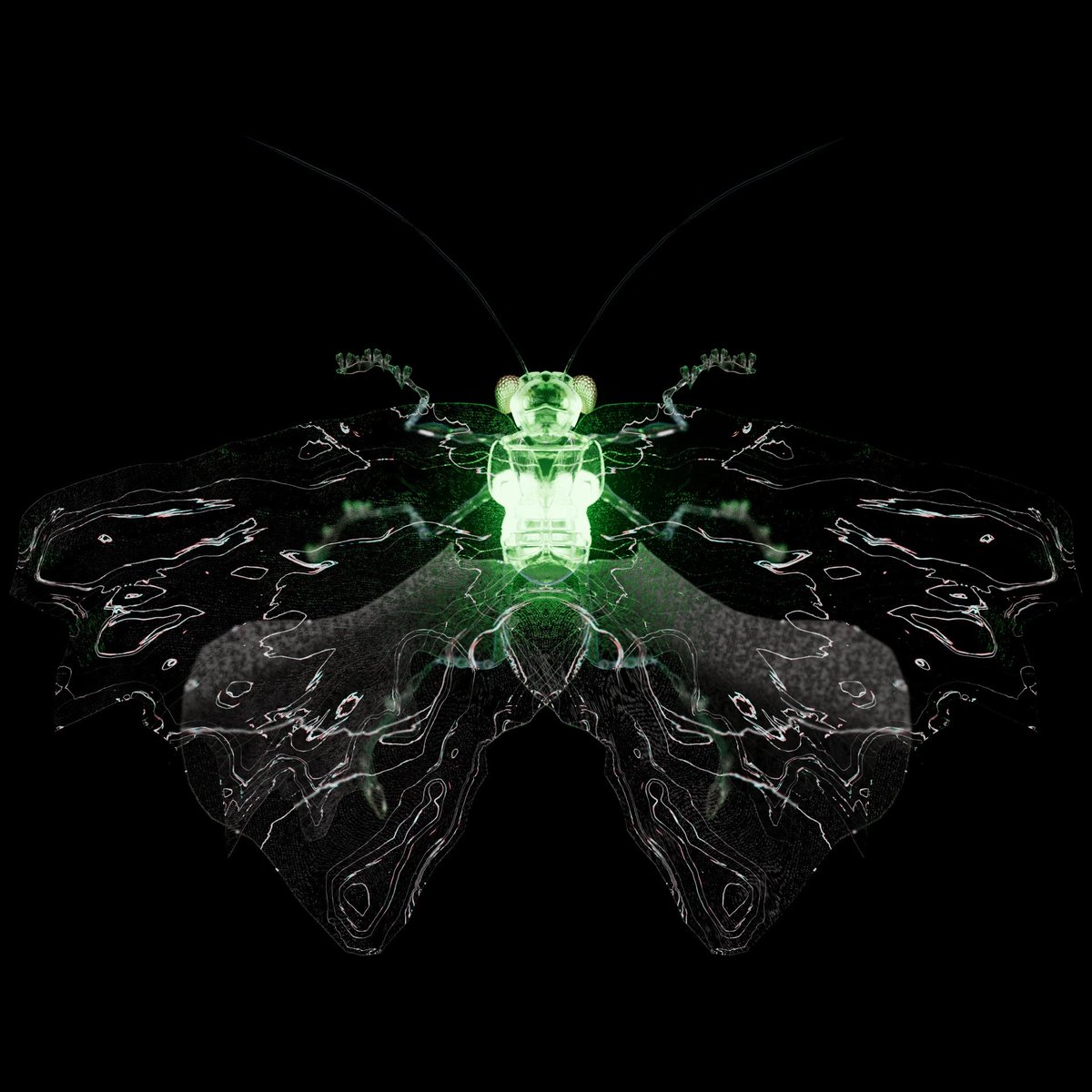 Say goodbye to repetitive NFT art, discover the beauty of evolution with Chrysalism's hatching process, all begins with a DNA 🧬 

We're not just building a project, we're creating a family! Join us on Discord and be part of a community that's changing the game in NFT art. 🐞