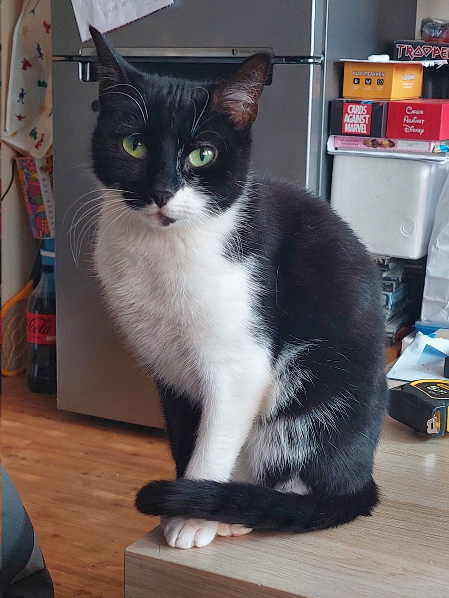 Patrick Jolie (@psychoman333) on Twitter photo 