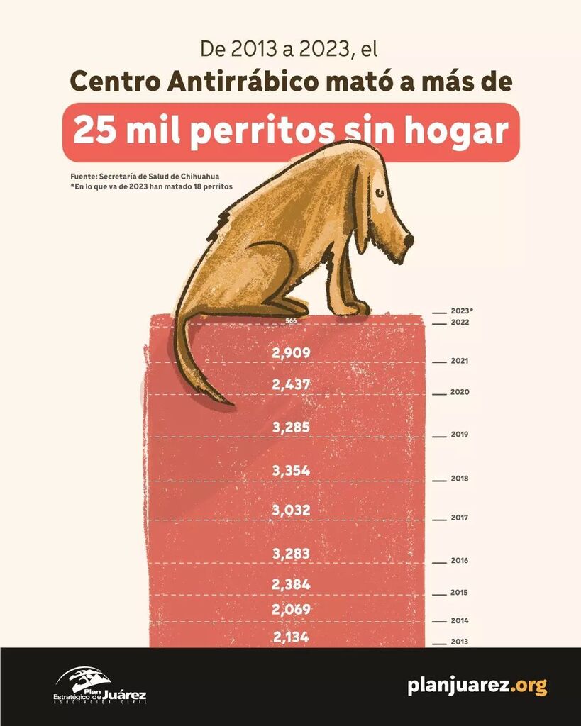 #BienestarAnimal | De acuerdo con los Servicios de Salud de Chihuahua, durante 10 años, el Centro Antirrábico sacrificó 25 mil 471 perros, aunque reportó que en ese mismo periodo capturó solo 13 mil 376; esto sugiere que casi la mitad del total se trató … instagr.am/p/CsE_hTVJ-bo/