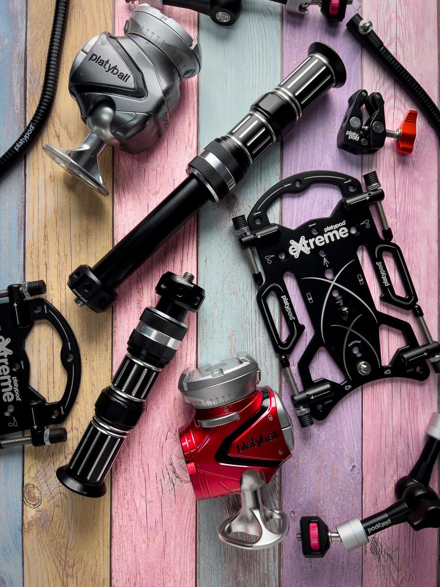 Platypod 📸 tweet media