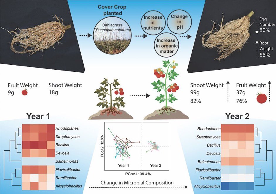 Josie Pasche (@josiepasche) on Twitter photo So happy to share my first first-author paper— check out how these changes in the soil affect the soil microbiome, crop health, and RKN infections!
Big thank you to <a href="/samjmartins/">Samuel Martins</a> and the other collaborators.
bit.ly/SoilCultivation So happy to share my first first-author paper— check out how these changes in the soil affect the soil microbiome, crop health, and RKN infections!
Big thank you to <a href="/samjmartins/">Samuel Martins</a> and the other collaborators.
bit.ly/SoilCultivation