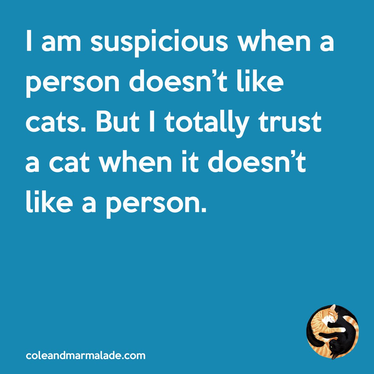 ColeTheBlackCat's tweet photo. They can sense things! 😼🤔

#CatPeople #CatsOfTwitter #Cats https://t.co/GnaFvBVfEv