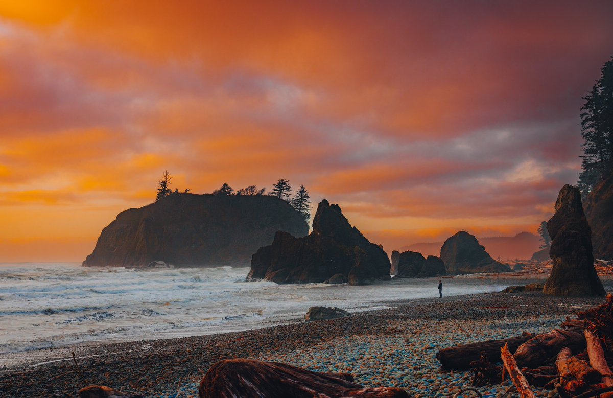 Brendan Beale Photography tweet media