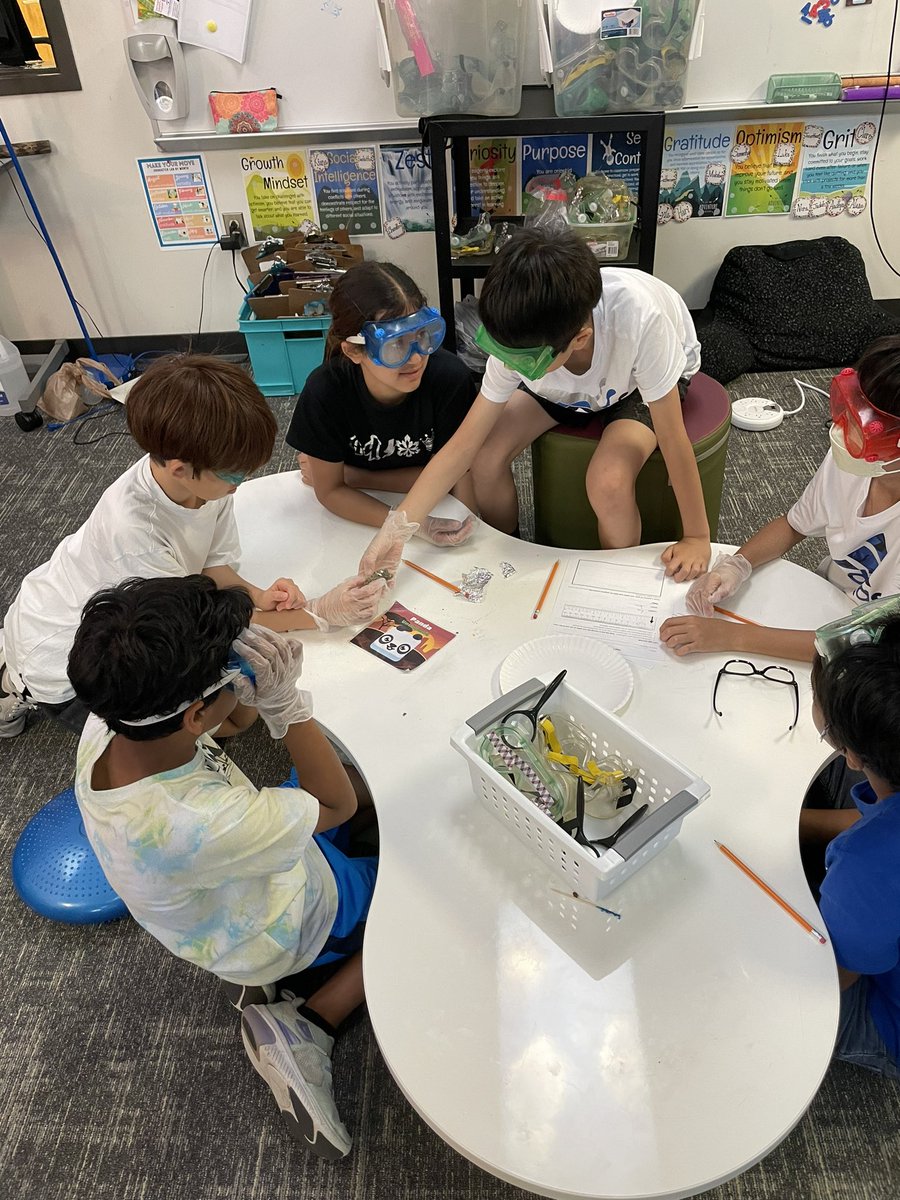 MrWilliams410's tweet image. The kids loved dissecting owl pellets today! I don’t think I’ve seen them so engaged and asking so many questions. @IsbellPride #FISDmadetoshine #futurereadylearner
